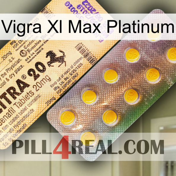 Vigra Xl Max Platinum new06.jpg